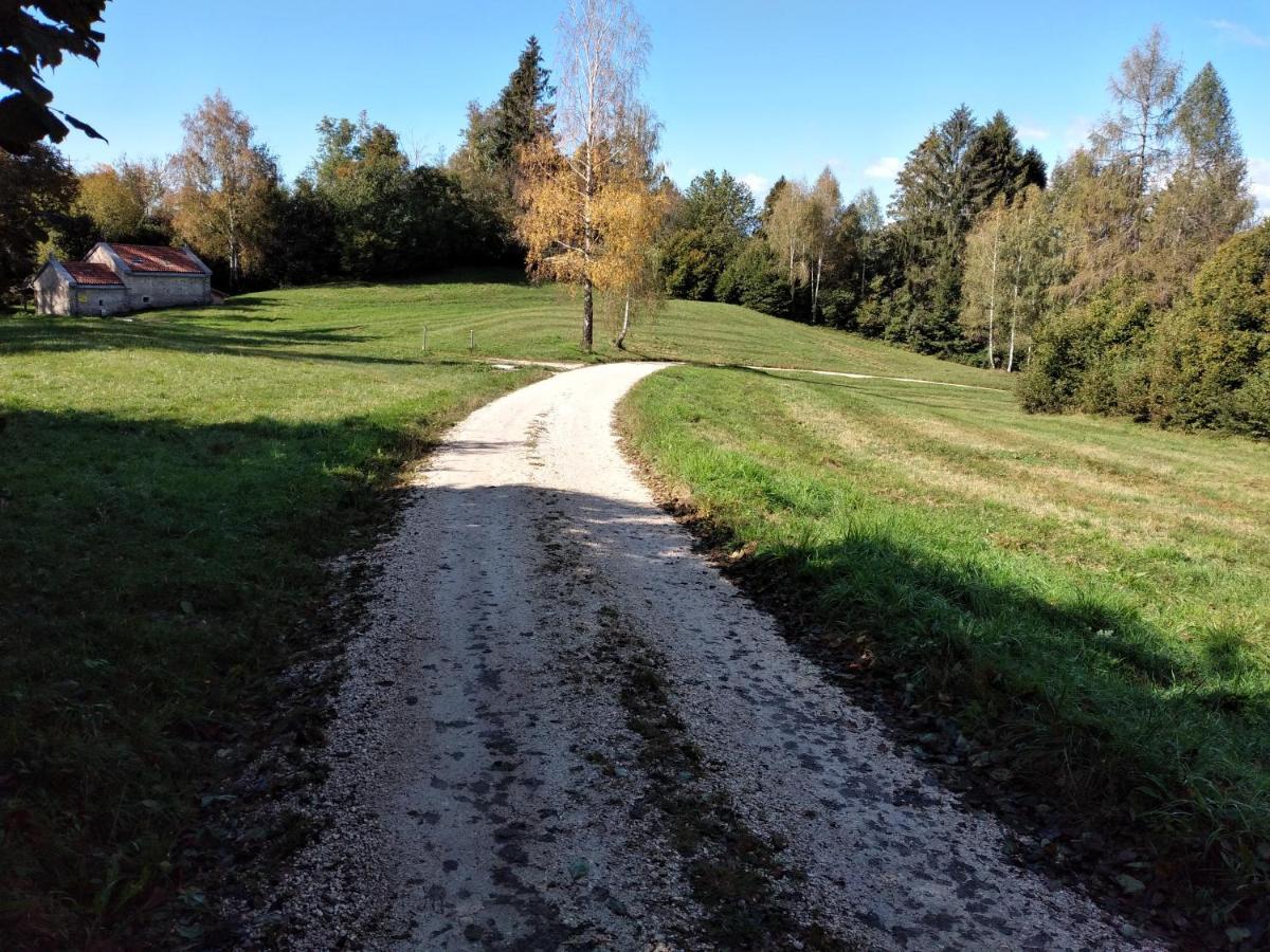 Al Salt Villa Belluno Eksteriør bilde